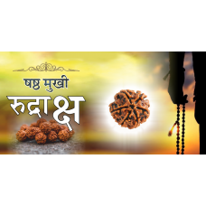 6 Mukhi Rudraksha (6.0)